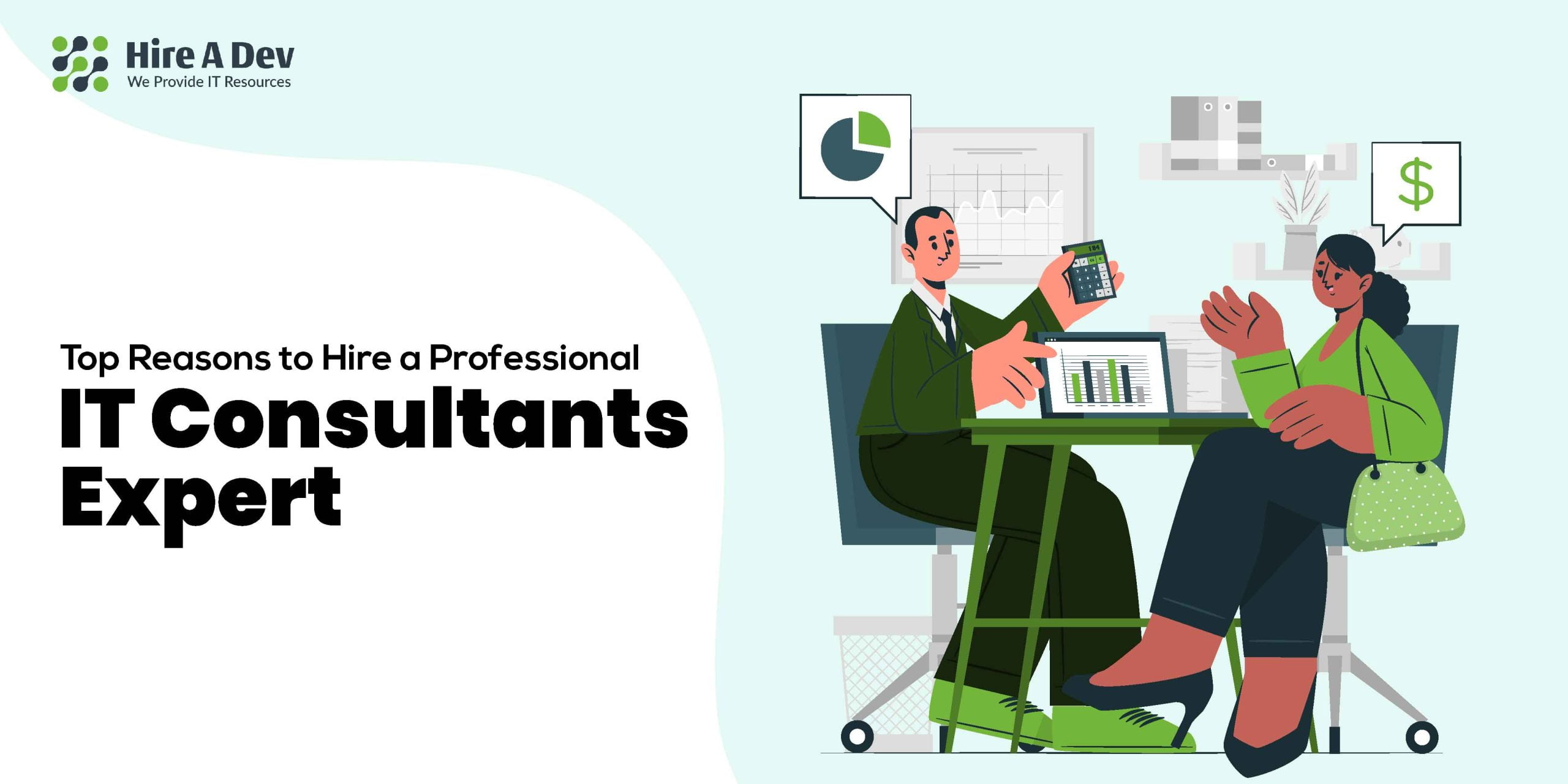 Hire a Professional IT Consultants Expert